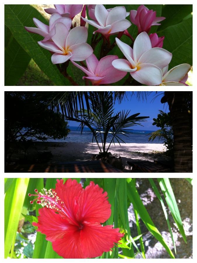 Villas Du Voyageur Grand Anse  Kültér fotó