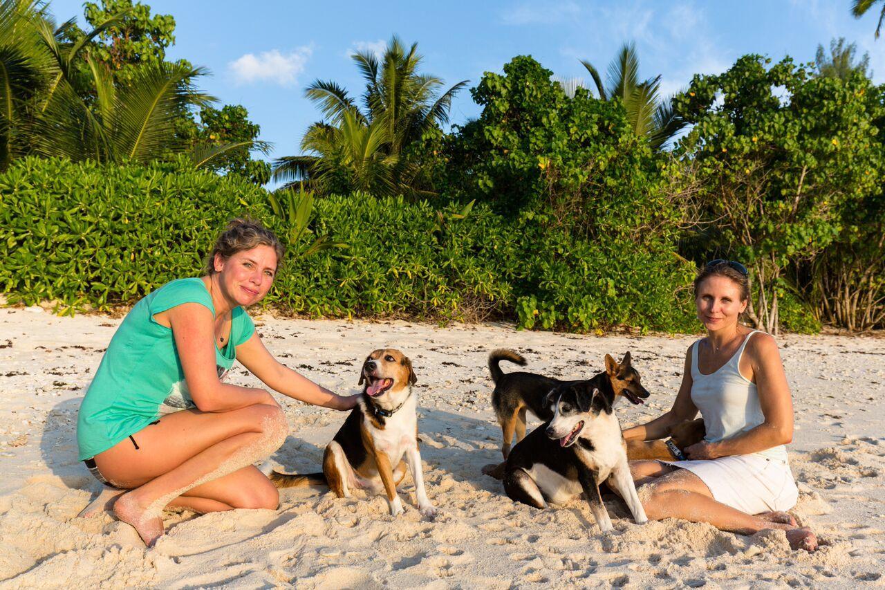 Villas Du Voyageur Grand Anse  Kültér fotó