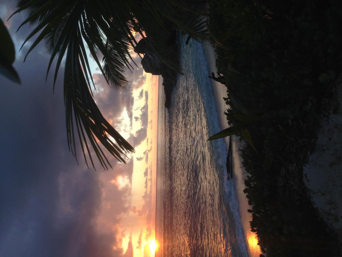 Villas Du Voyageur Grand Anse  Kültér fotó