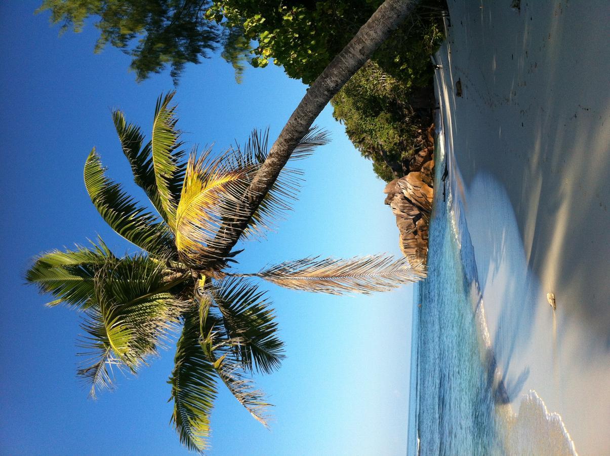 Villas Du Voyageur Grand Anse  Kültér fotó