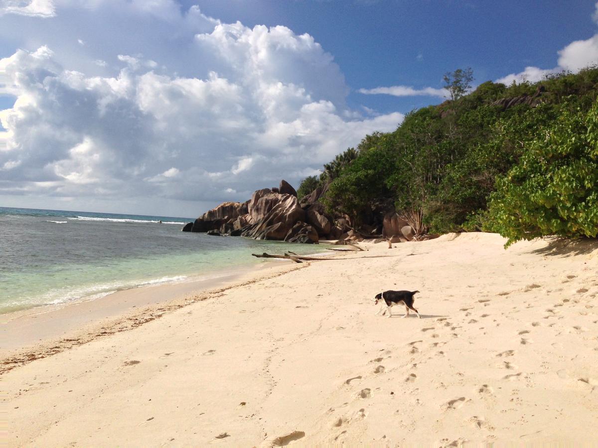 Villas Du Voyageur Grand Anse  Kültér fotó