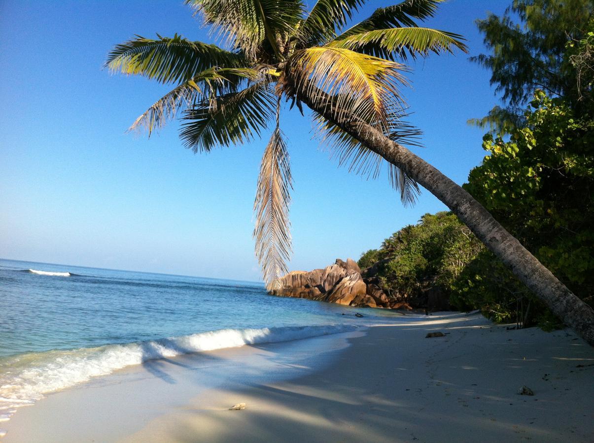 Villas Du Voyageur Grand Anse  Kültér fotó