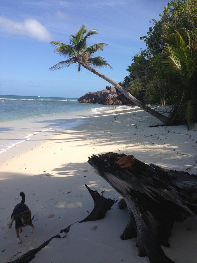 Villas Du Voyageur Grand Anse  Kültér fotó